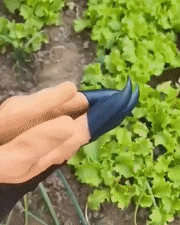 Guantes de jardinería para plantar | Protección y agarre para trabajo exterior
