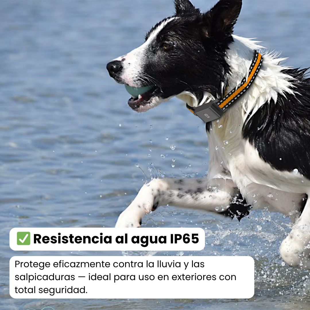 Collar GPS sin Suscripción – Rastreo Preciso y Cobertura Ilimitada