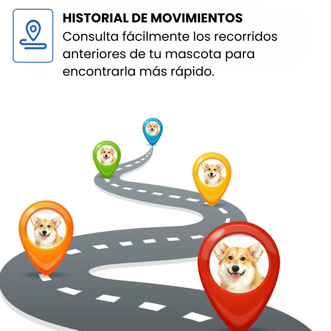 Collar GPS para mascotas – Localización precisa, alerta antifuga y app gratuita