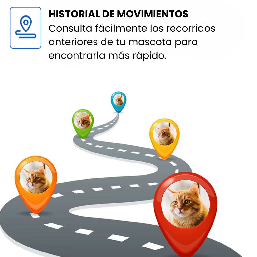 Collar GPS para mascotas – Rastreo en directo, sin suscripción, ideal para perros y gatos