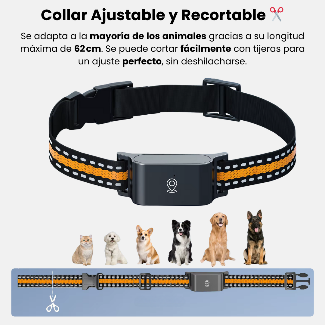 Collar GPS sin Suscripción – Rastreo Preciso y Cobertura Ilimitada