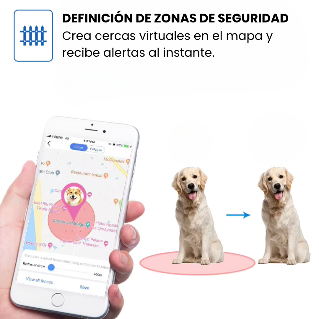 Collar GPS para mascotas – Localización precisa, alerta antifuga y app gratuita