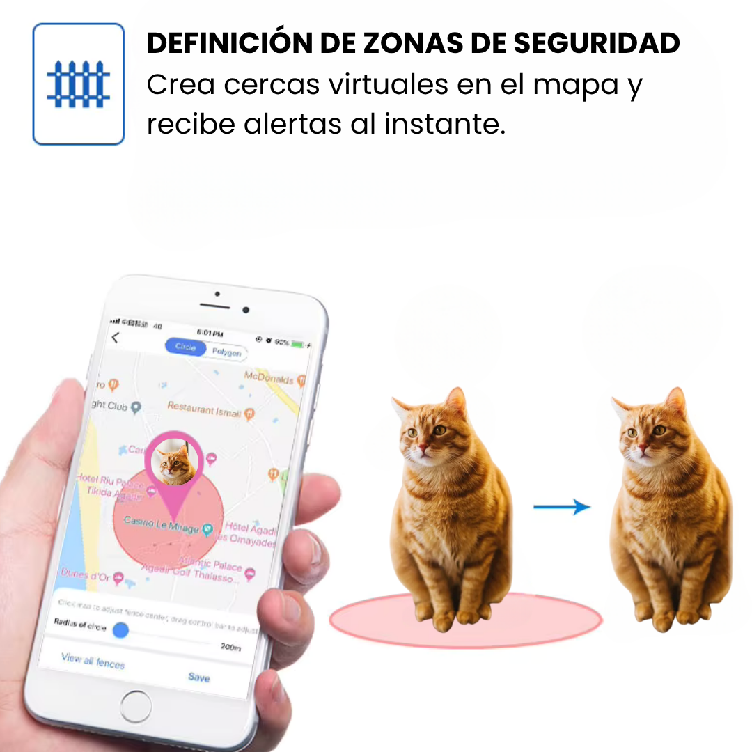 Collar GPS para mascotas – Rastreo en directo, sin suscripción, ideal para perros y gatos