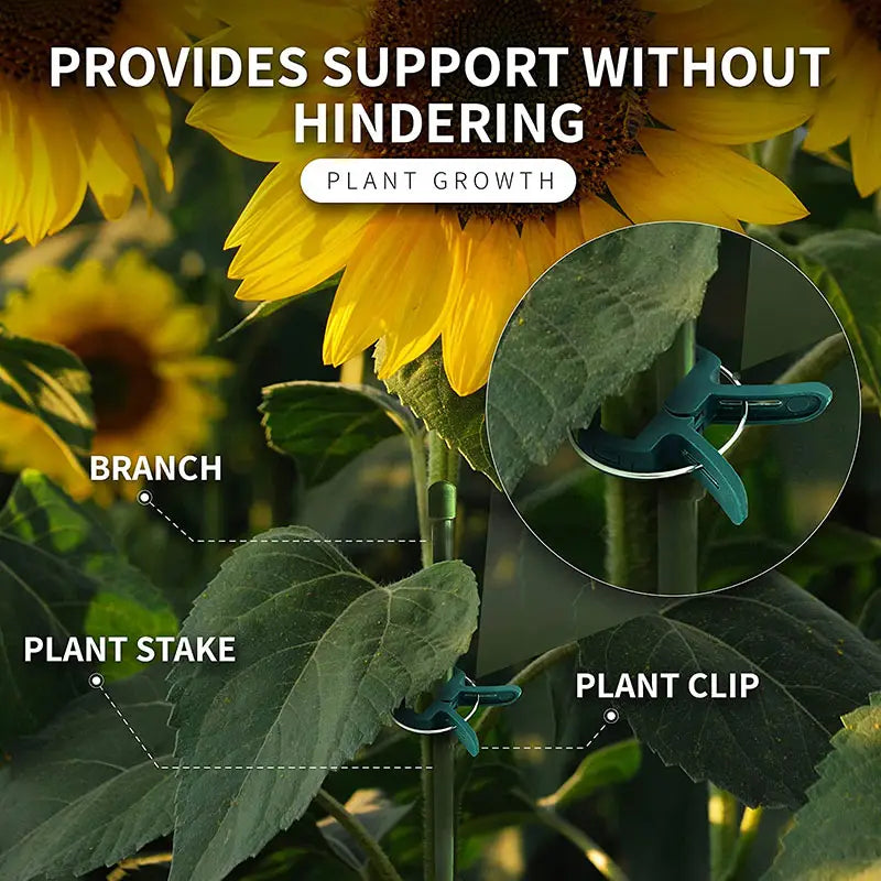 Clips para plantas de jardín | Soportes para sujeción y crecimiento