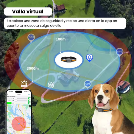 Collar GPS sin suscripción – Localización precisa, alerta antifuga y app gratuita