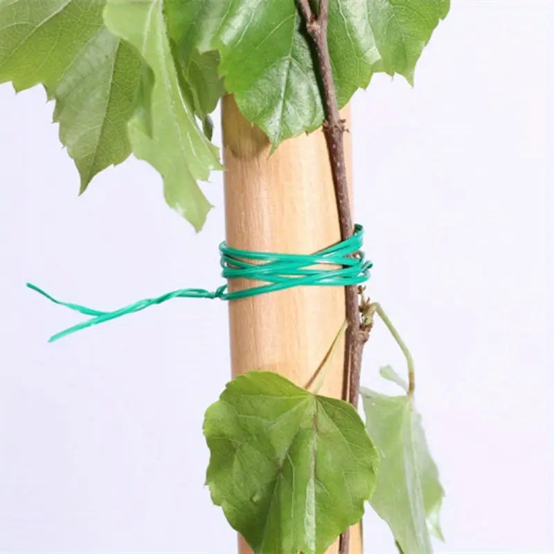 Raspador de jardín manual | Herramienta para limpieza de suelo