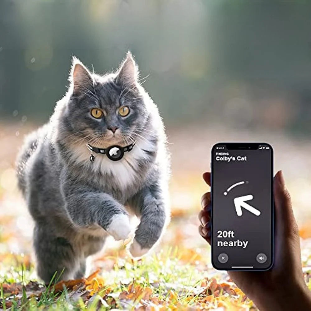 Collar GPS para Gatos con Cierre de Liberación Rápida | Seguridad y Comodidad en Cada Aventura