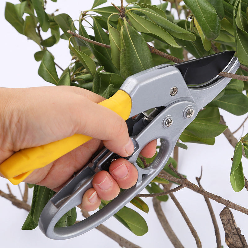 Cortasetos profesional para jardín | Herramienta de poda precisa
