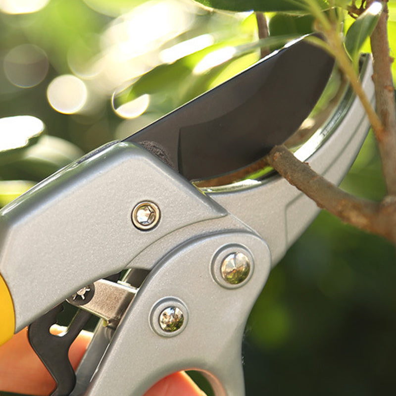 Cortasetos profesional para jardín | Herramienta de poda precisa