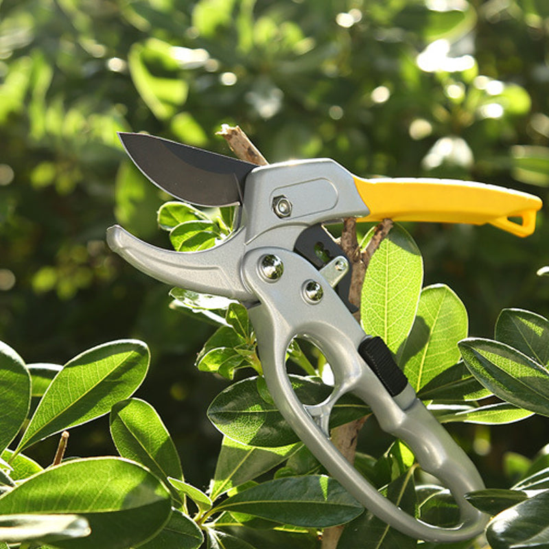 Cortasetos profesional para jardín | Herramienta de poda precisa