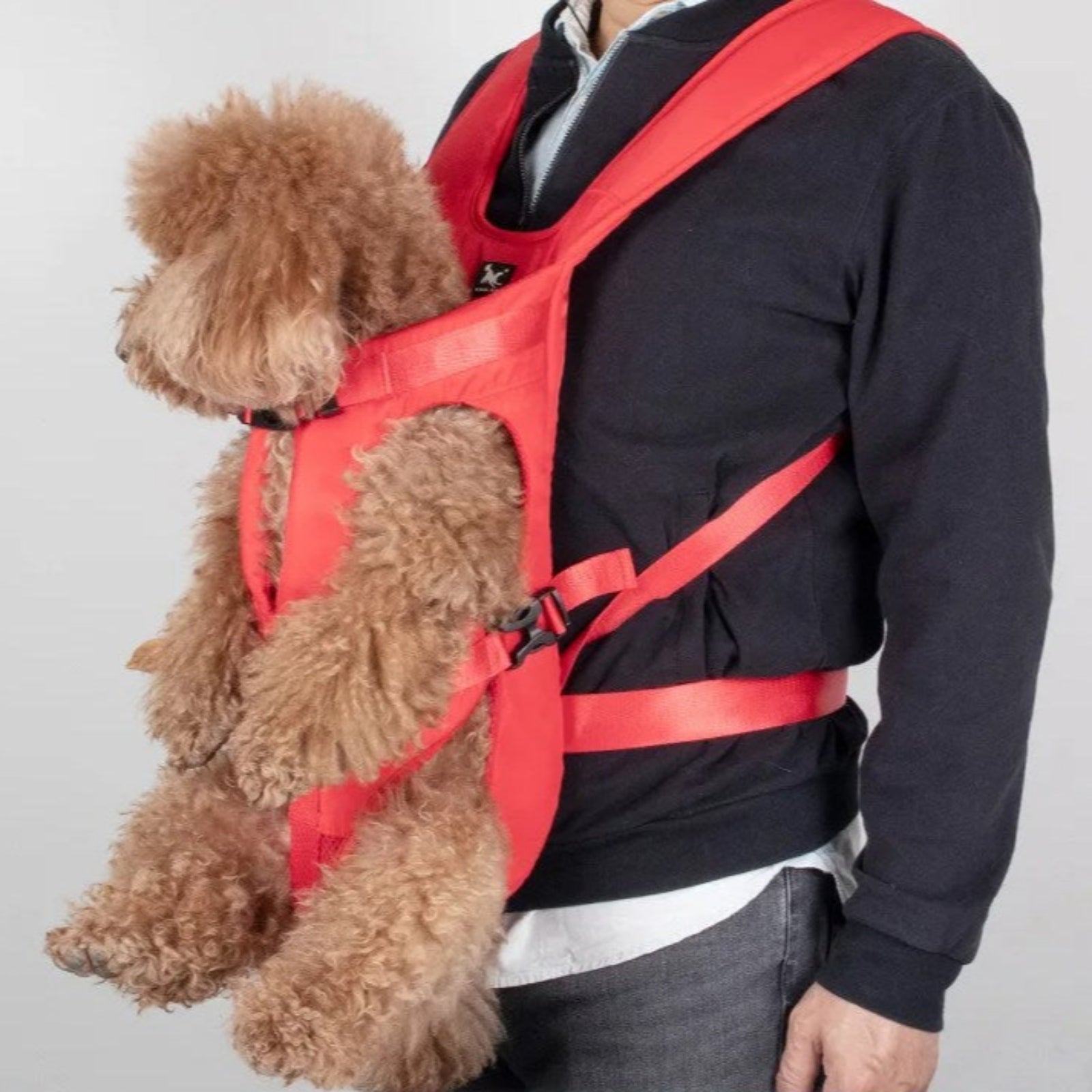 Mochila Frontal para Transportar Perros de Senderismo