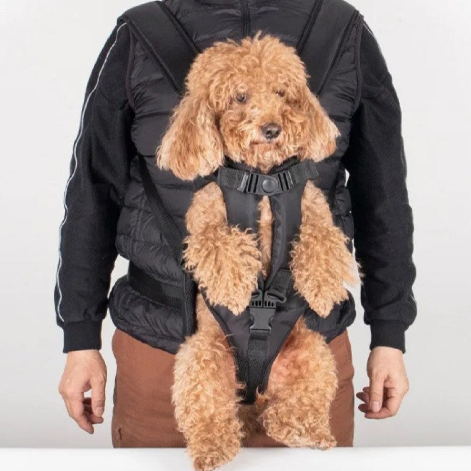Mochila Frontal para Transportar Perros de Senderismo