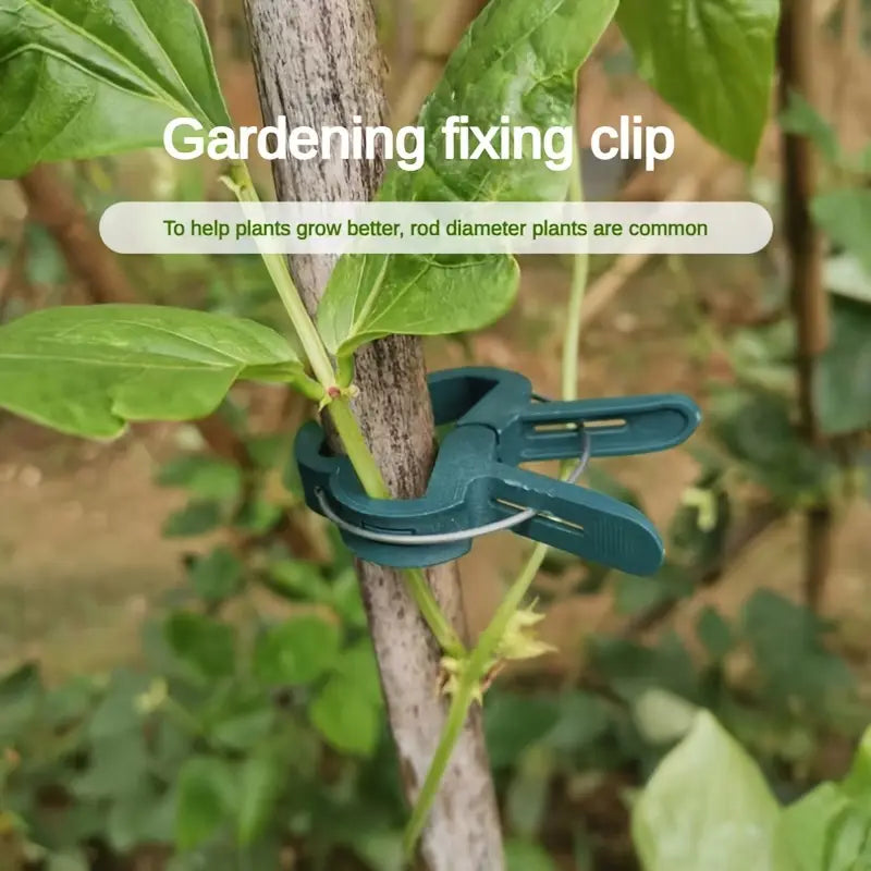 Clips para plantas de jardín | Soportes para sujeción y crecimiento