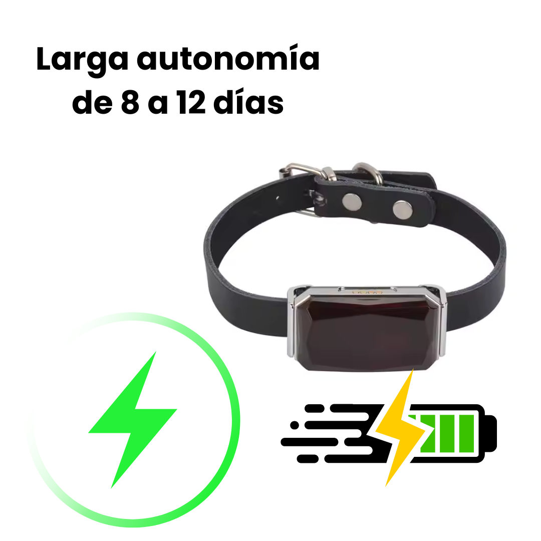 Collar GPS para mascotas – Rastreo en directo, sin suscripción, ideal para perros y gatos
