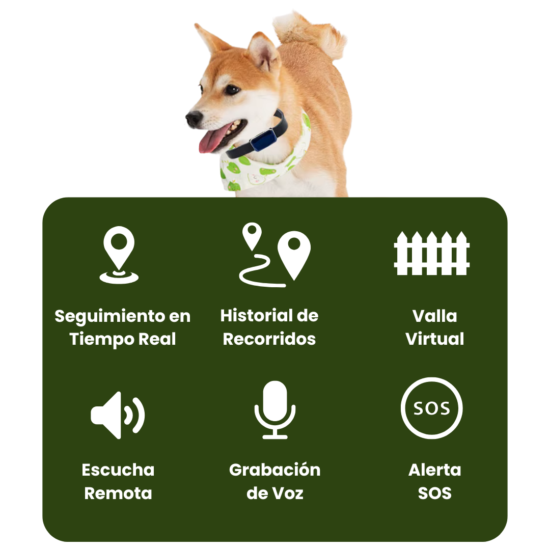 Collar GPS para mascotas – Localización precisa, alerta antifuga y app gratuita