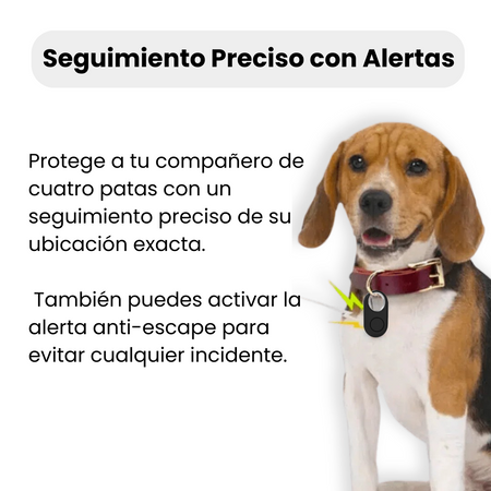Localizador GPS para Perro Discreto – Seguimiento Global con Android & Apple Find My – Sin Cuotas Mensuales