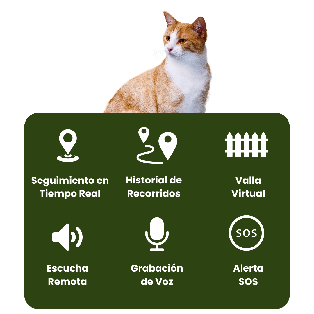 Collar GPS para mascotas – Rastreo en directo, sin suscripción, ideal para perros y gatos