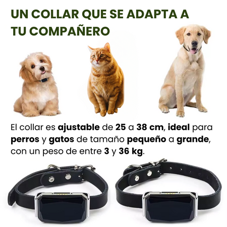 Collar GPS para mascotas – Rastreo en directo, sin suscripción, ideal para perros y gatos