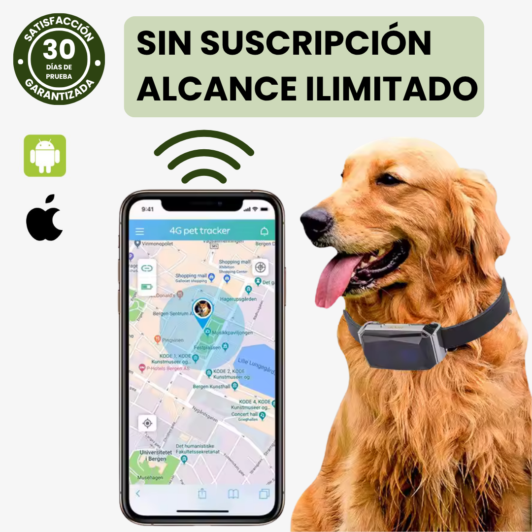 Collar GPS para mascotas – Localización precisa, alerta antifuga y app gratuita