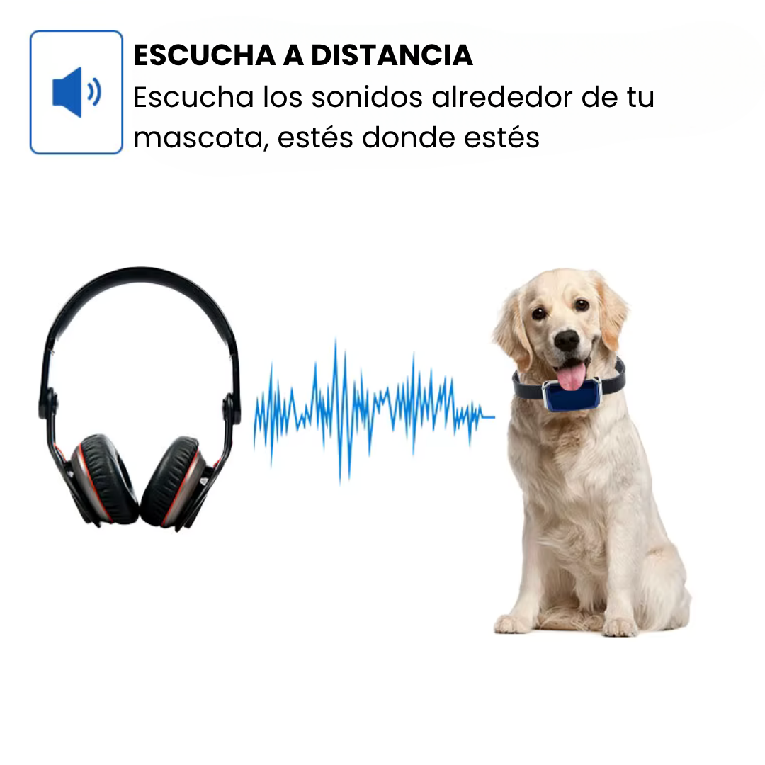 Collar GPS para mascotas – Localización precisa, alerta antifuga y app gratuita