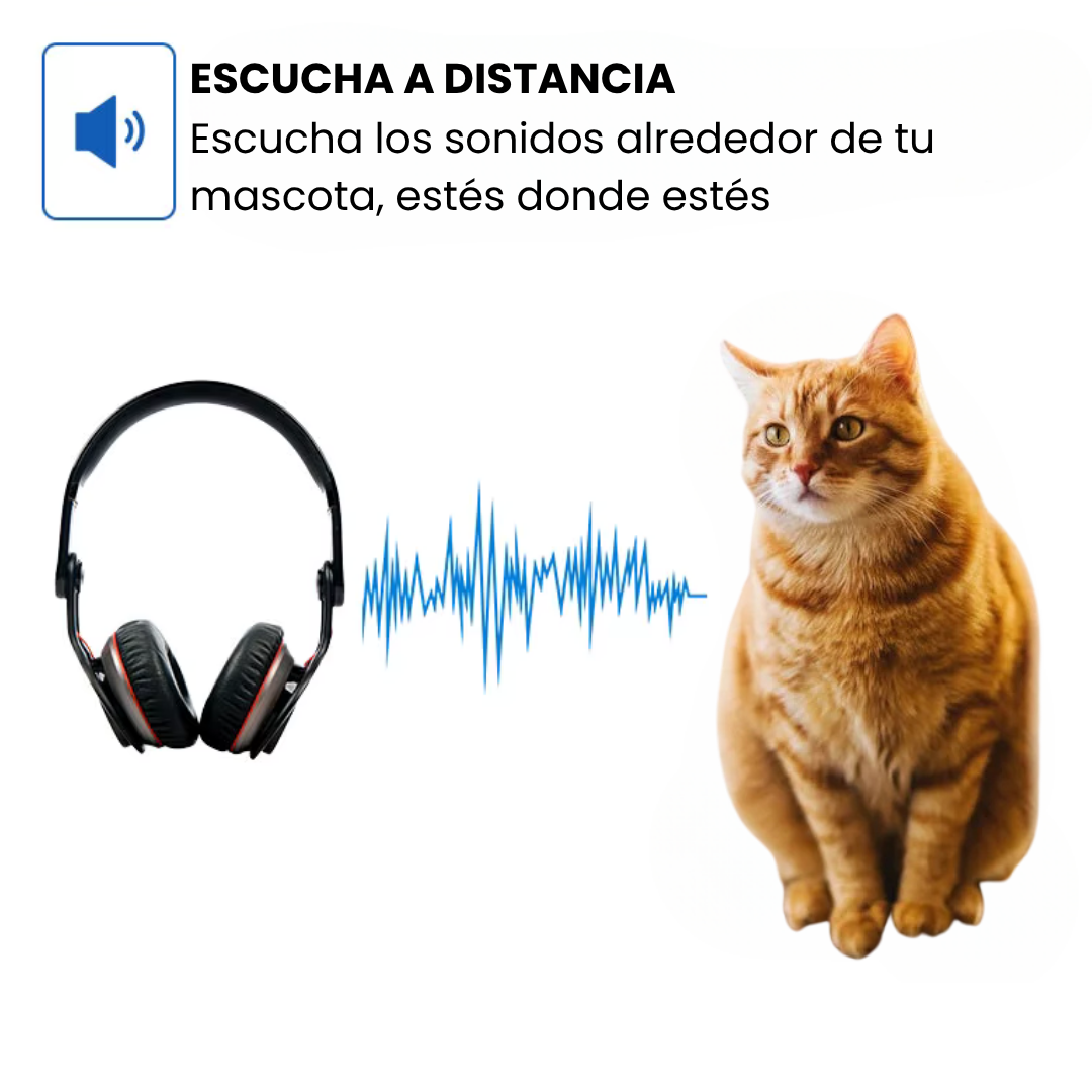 Collar GPS para mascotas – Rastreo en directo, sin suscripción, ideal para perros y gatos