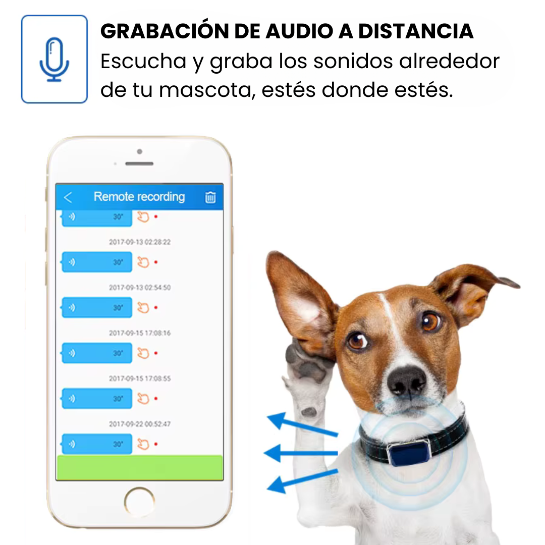 Collar GPS para mascotas – Rastreo en directo, sin suscripción, ideal para perros y gatos