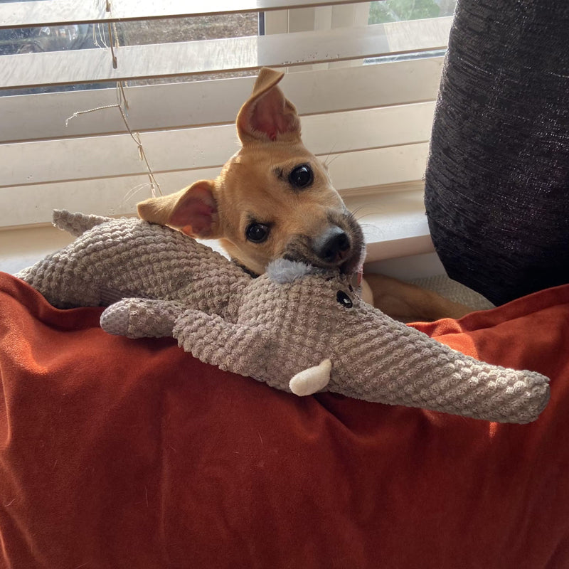 Juguete para perros extra resistente - Juguete masticable de felpa duradero para perros activos