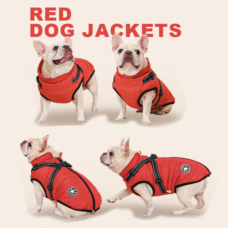 Chaqueta de Invierno para Perros – Abrigo 3 en 1 Impermeable, Cortaviento y con Arnés Integrado