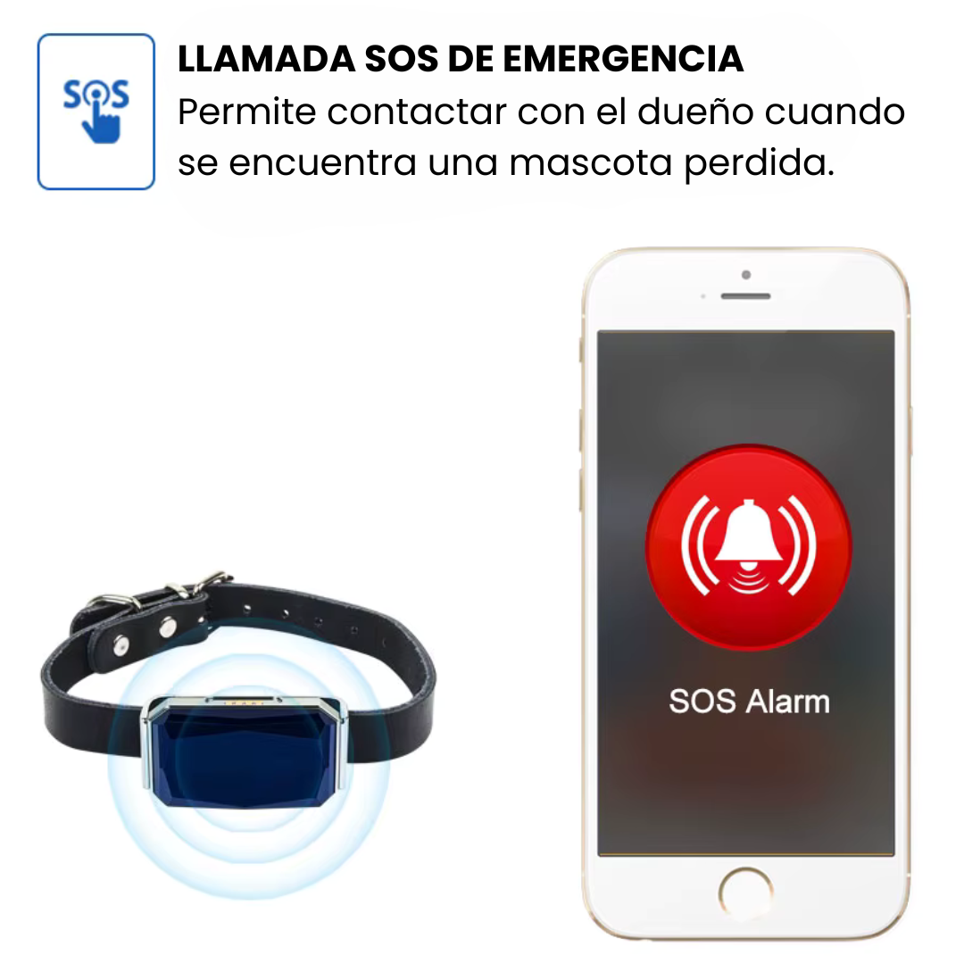 Collar GPS para mascotas – Rastreo en directo, sin suscripción, ideal para perros y gatos