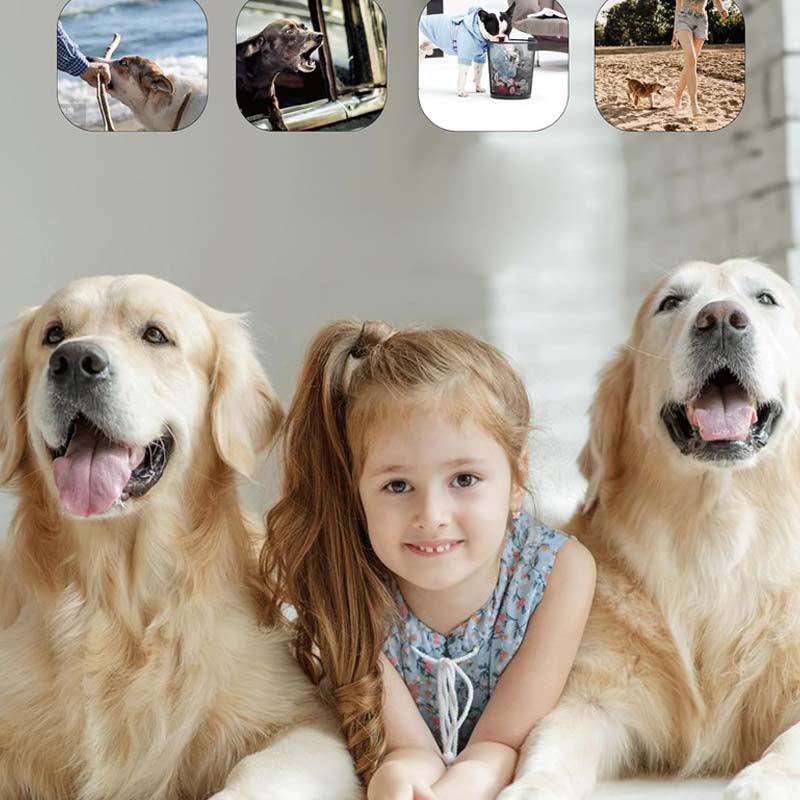 Repelente ultrasónico para perros