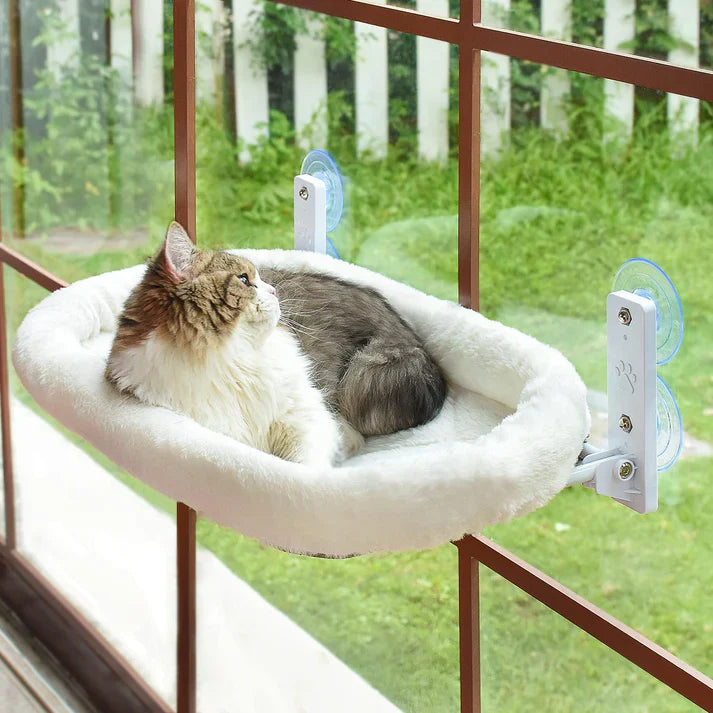 Estante de ventana para gatos sin cables