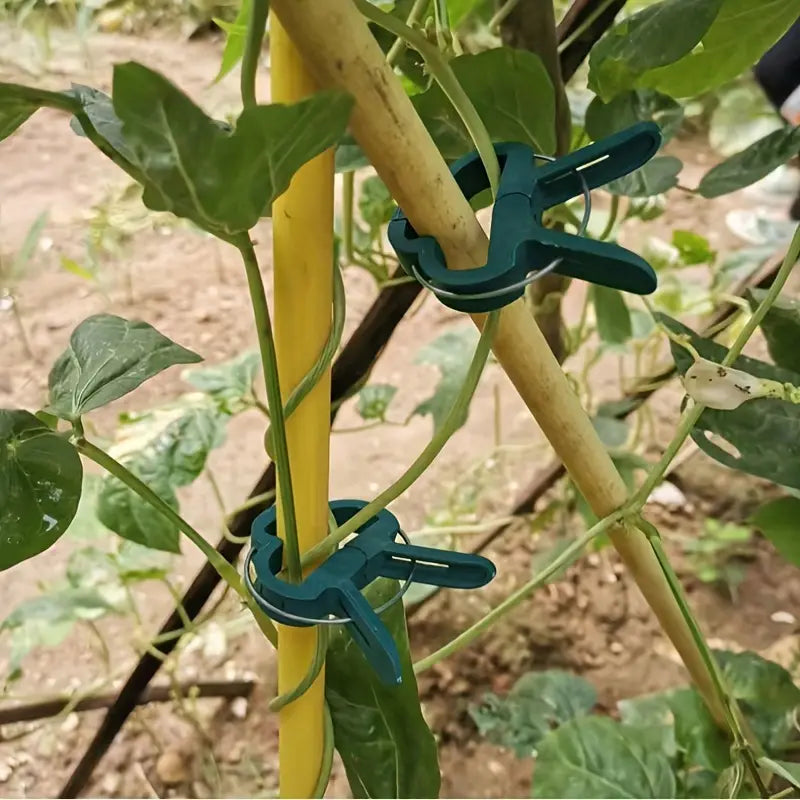Clips para plantas de jardín | Soportes para sujeción y crecimiento