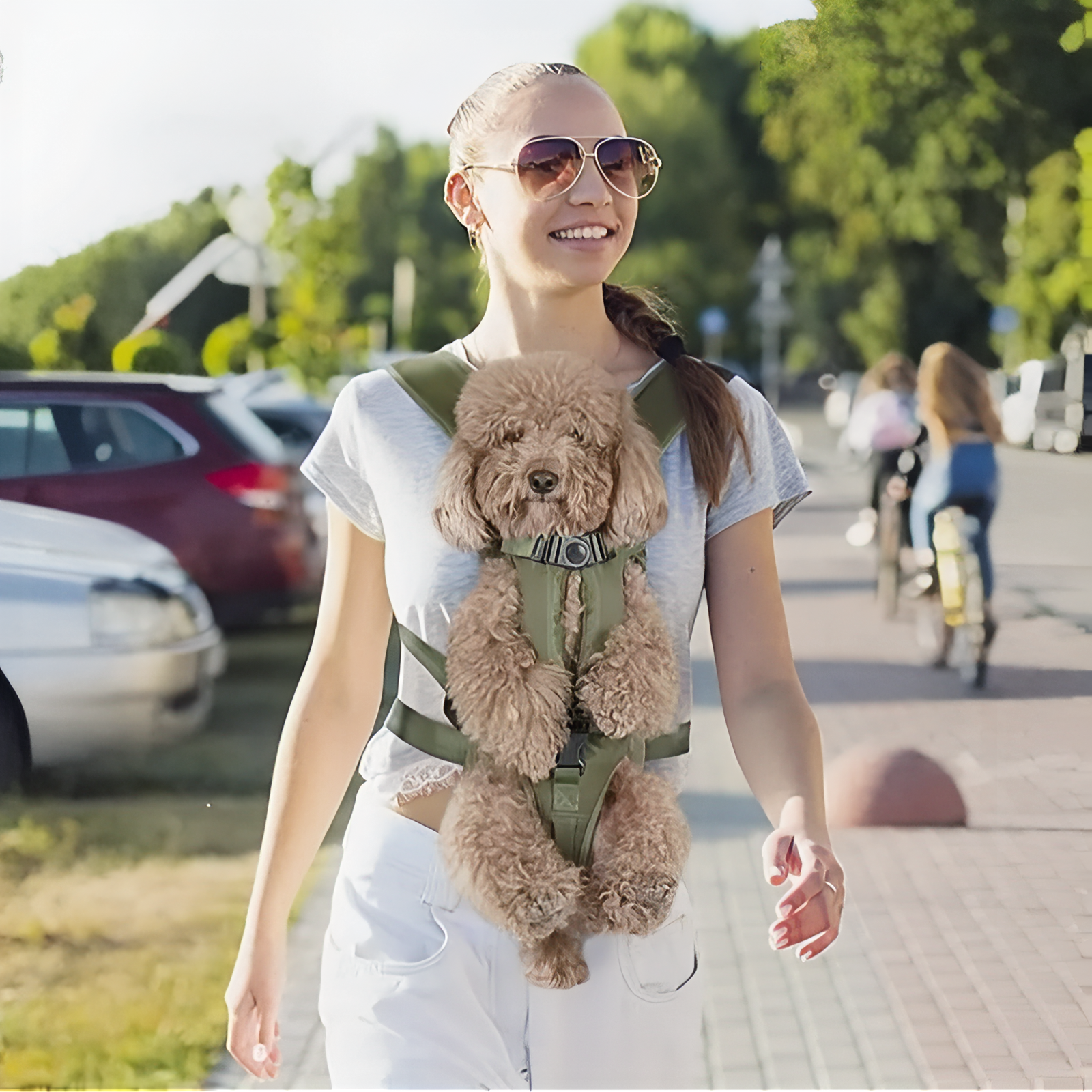 Mochila Frontal para Transportar Perros de Senderismo