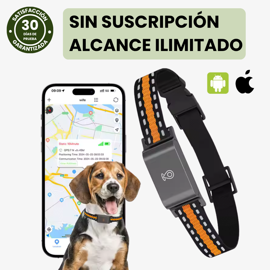 Collar GPS sin suscripción – Localización precisa, alerta antifuga y app gratuita