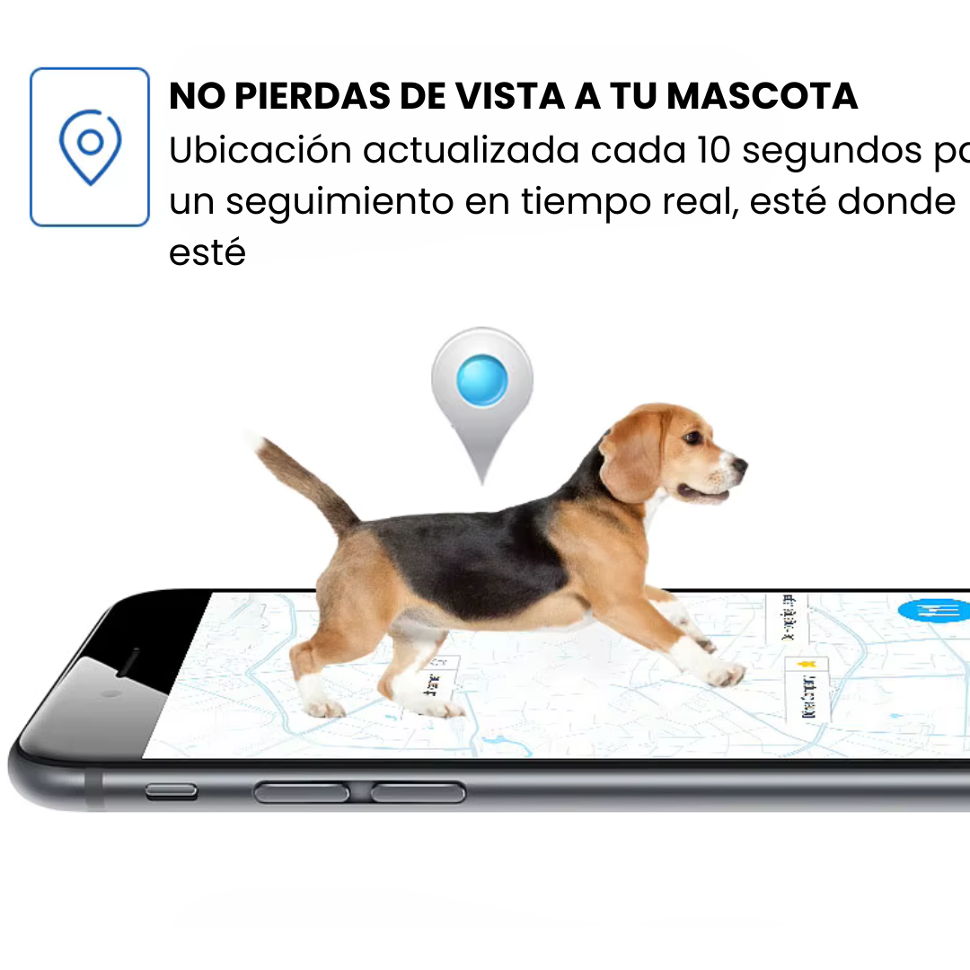 Collar GPS para mascotas – Localización precisa, alerta antifuga y app gratuita