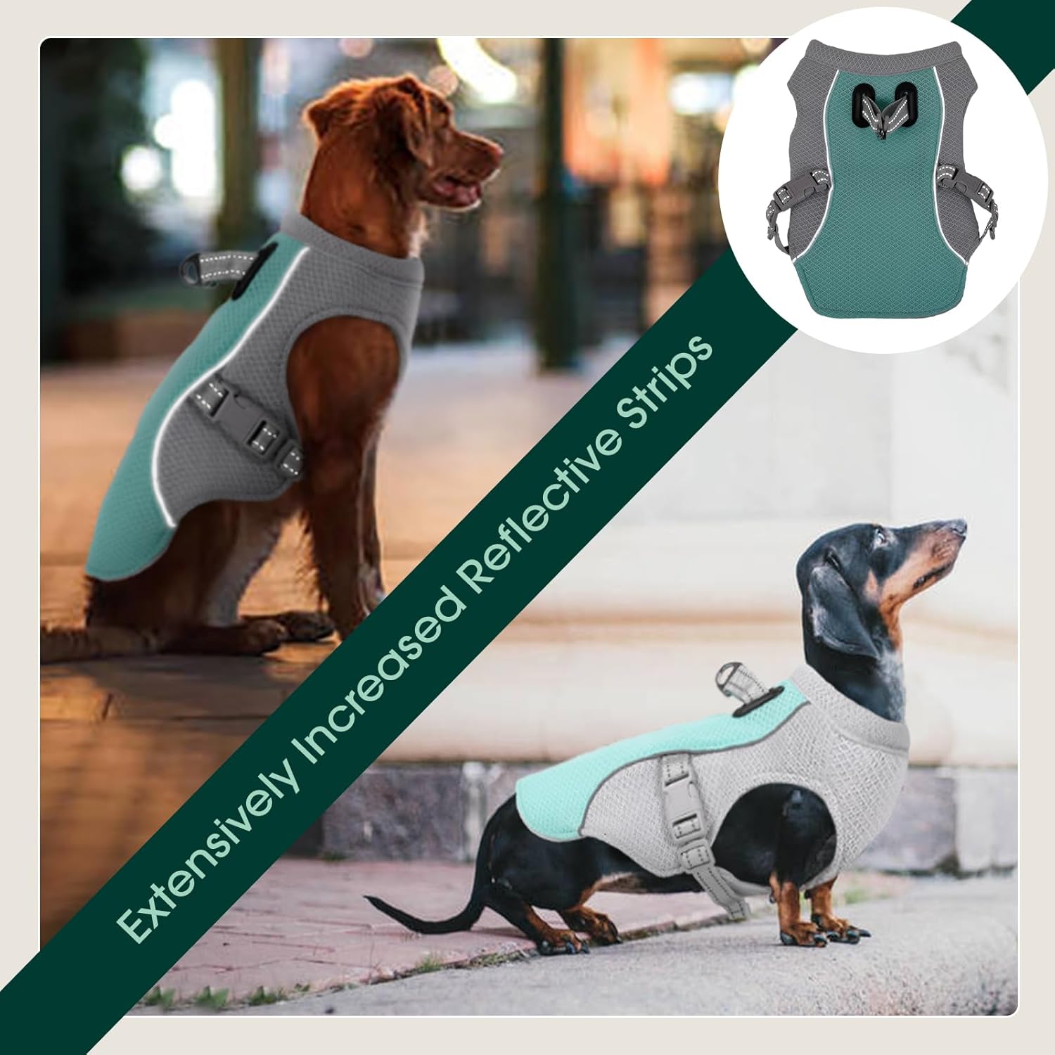Chaleco enfriador para perros de verano con reflectante y arnés de liberación rápida
