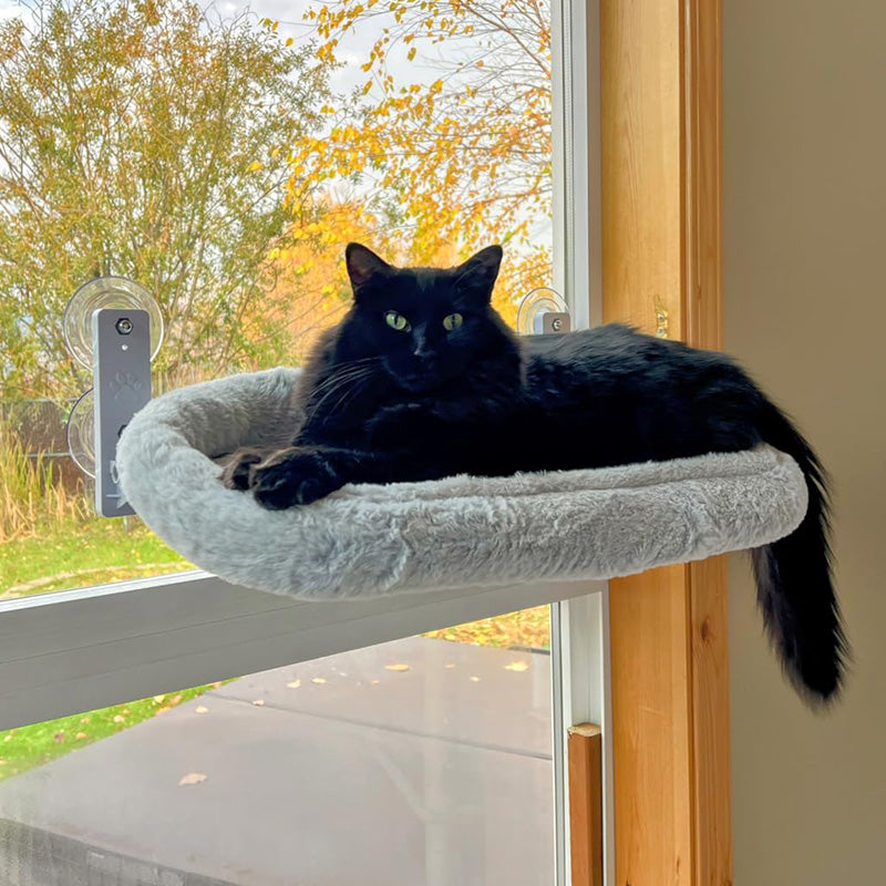 Estante de ventana para gatos sin cables