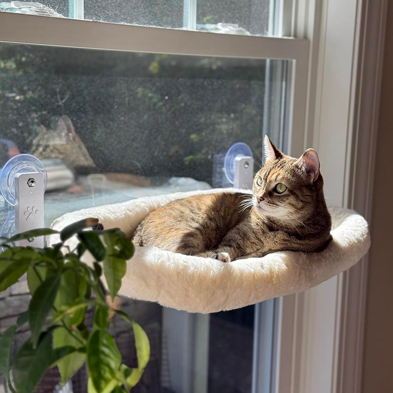 Estante de ventana para gatos sin cables