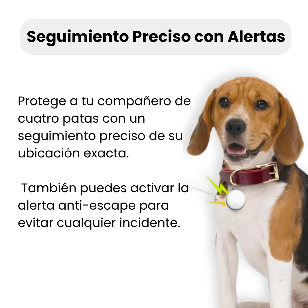 Localizador GPS para Perro Discreto – Seguimiento Global con Apple & Android Find My – Sin Cuotas Mensuales