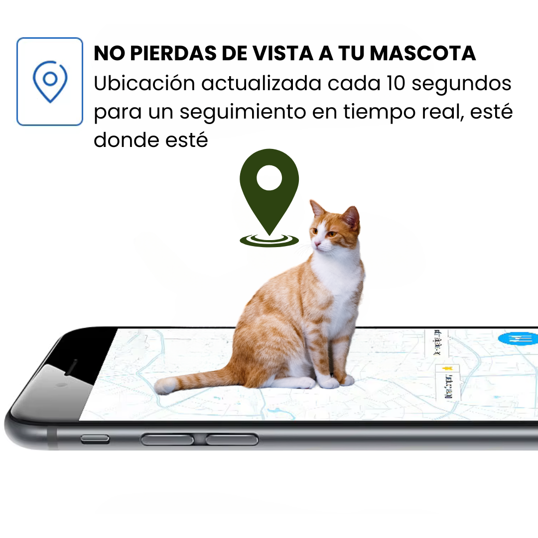 Collar GPS para mascotas – Rastreo en directo, sin suscripción, ideal para perros y gatos