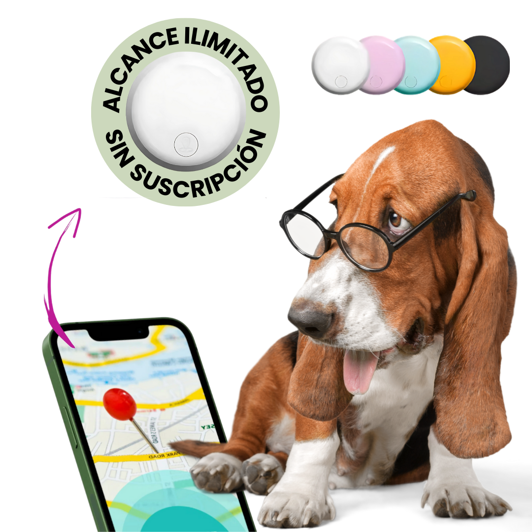 Rastreador GPS para Perro – Sin Cuotas, App Gratis iOS y Android
