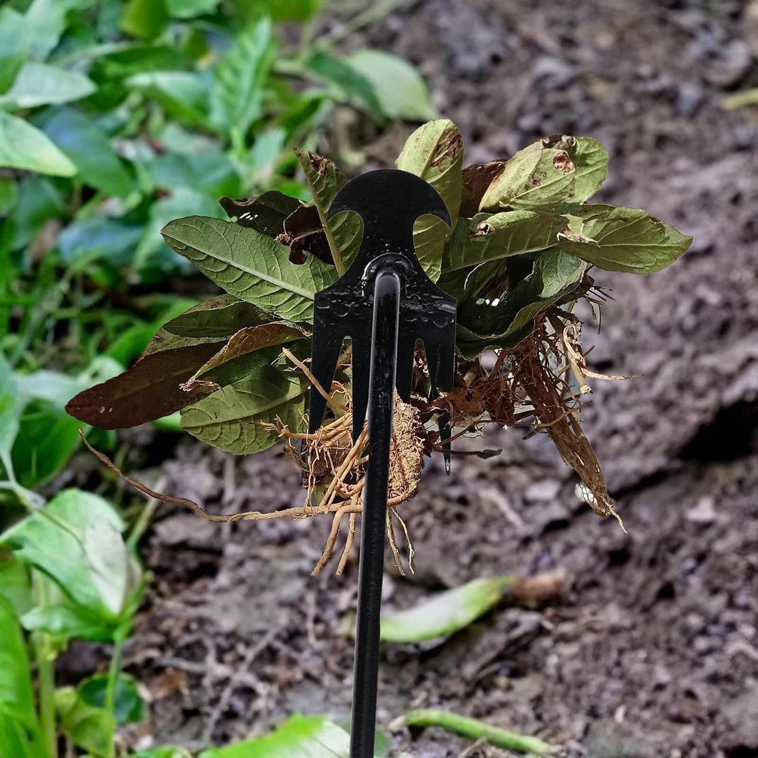 Herramienta para arrancar malezas | Eliminador manual para jardín