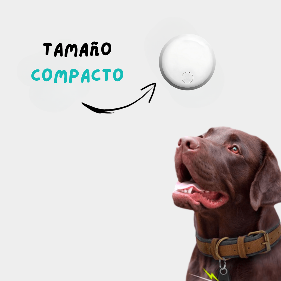 DescuentosMax™ | GPS para Perros sin SIM ni Suscripción – Localiza Fácilmente