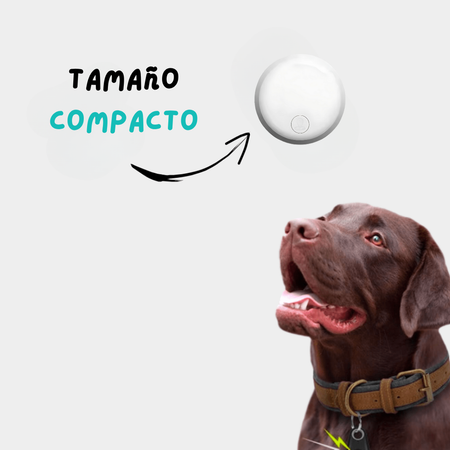 DescuentosMax™ | GPS para Perros sin SIM ni Suscripción – Localiza Fácilmente