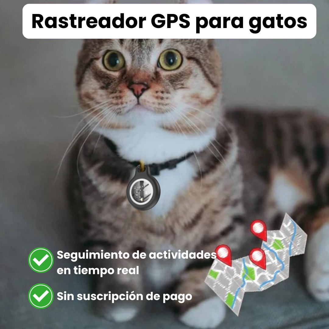 Collar GPS para Gatos con Seguimiento en Tiempo Real – Sin Suscripción (Compatible solo con iOS: iPhone, iPad, Mac)