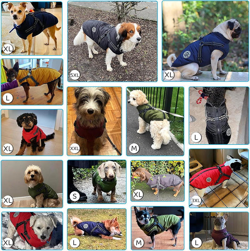 Chaqueta de Invierno para Perros – Abrigo 3 en 1 Impermeable, Cortaviento y con Arnés Integrado