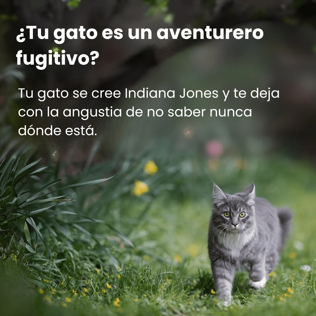 Collar GPS para Gatos con Seguimiento en Tiempo Real – Sin Suscripción (Compatible solo con iOS: iPhone, iPad, Mac)