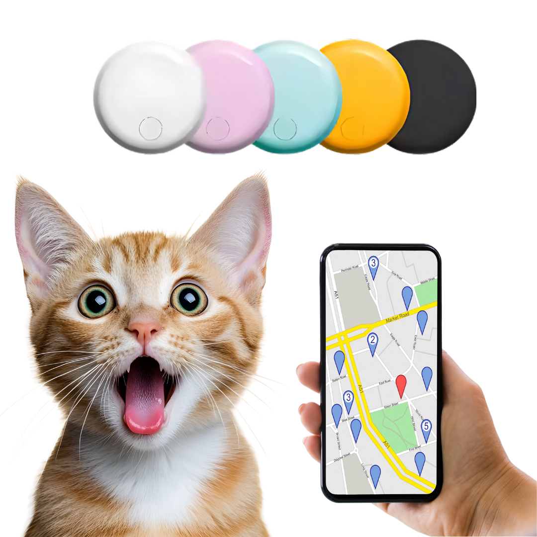 Rastreador GPS para Gato – Sin Cuotas, App Gratis iOS y Android