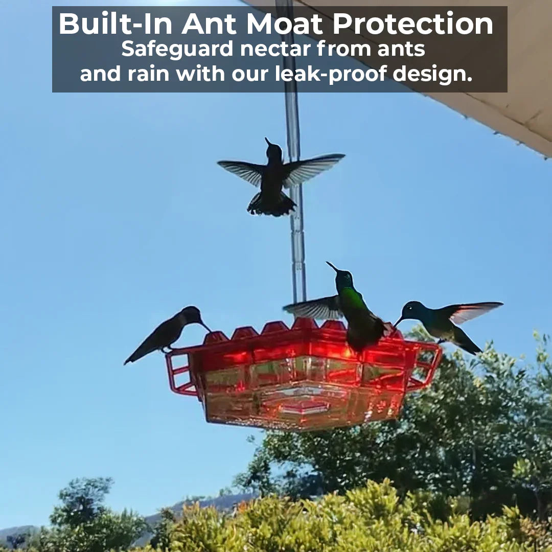 Alimentador para colibrí a prueba de hormigas para uso exterior con posadero colgante