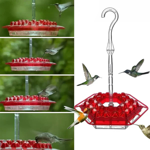 Alimentador para colibrí a prueba de hormigas para uso exterior con posadero colgante